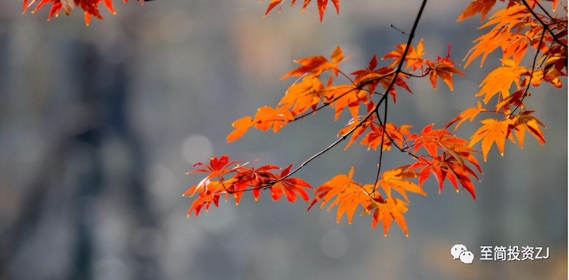 孟德稳新手期货交易教程,孟德稳期货教学视频完整版