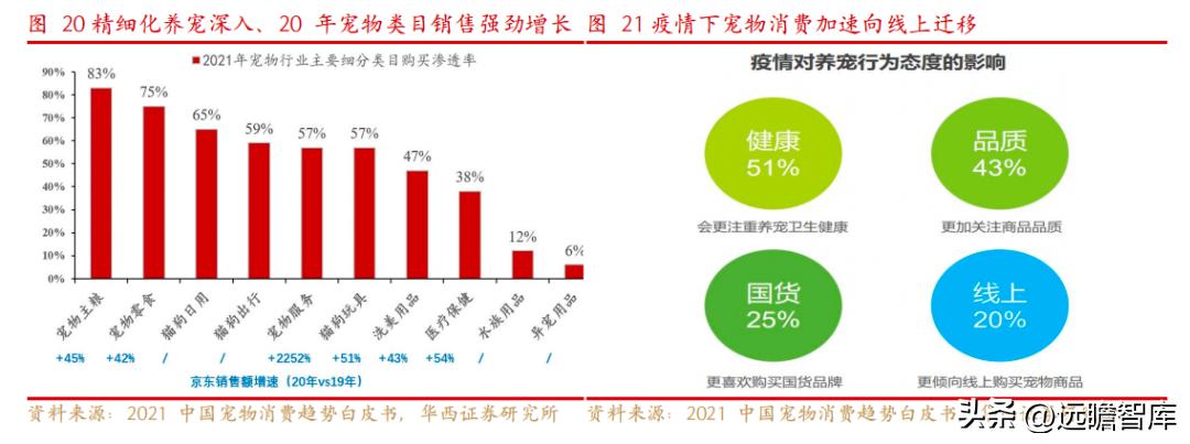 依依股份是宠物用品的龙头企业 (宠物一次性卫生护理用品上市公司)