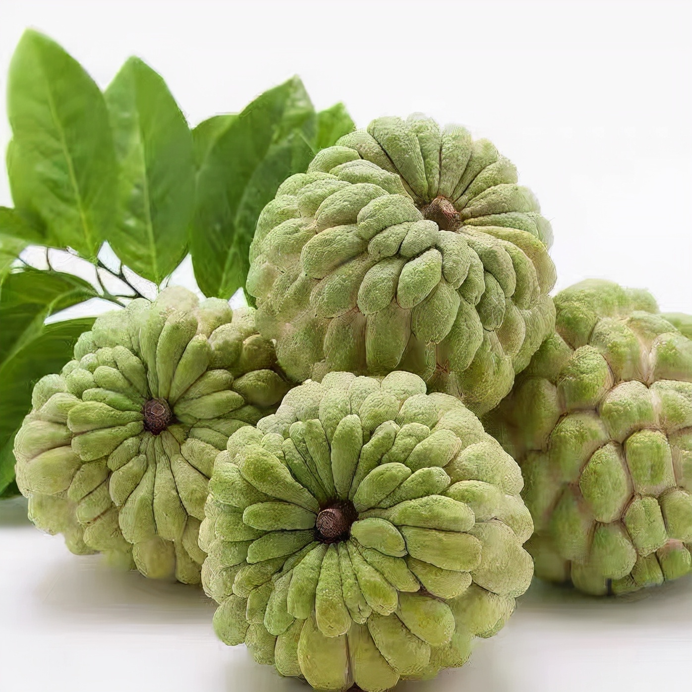 西双版纳热带水果推荐,西双版纳最值得带的水果