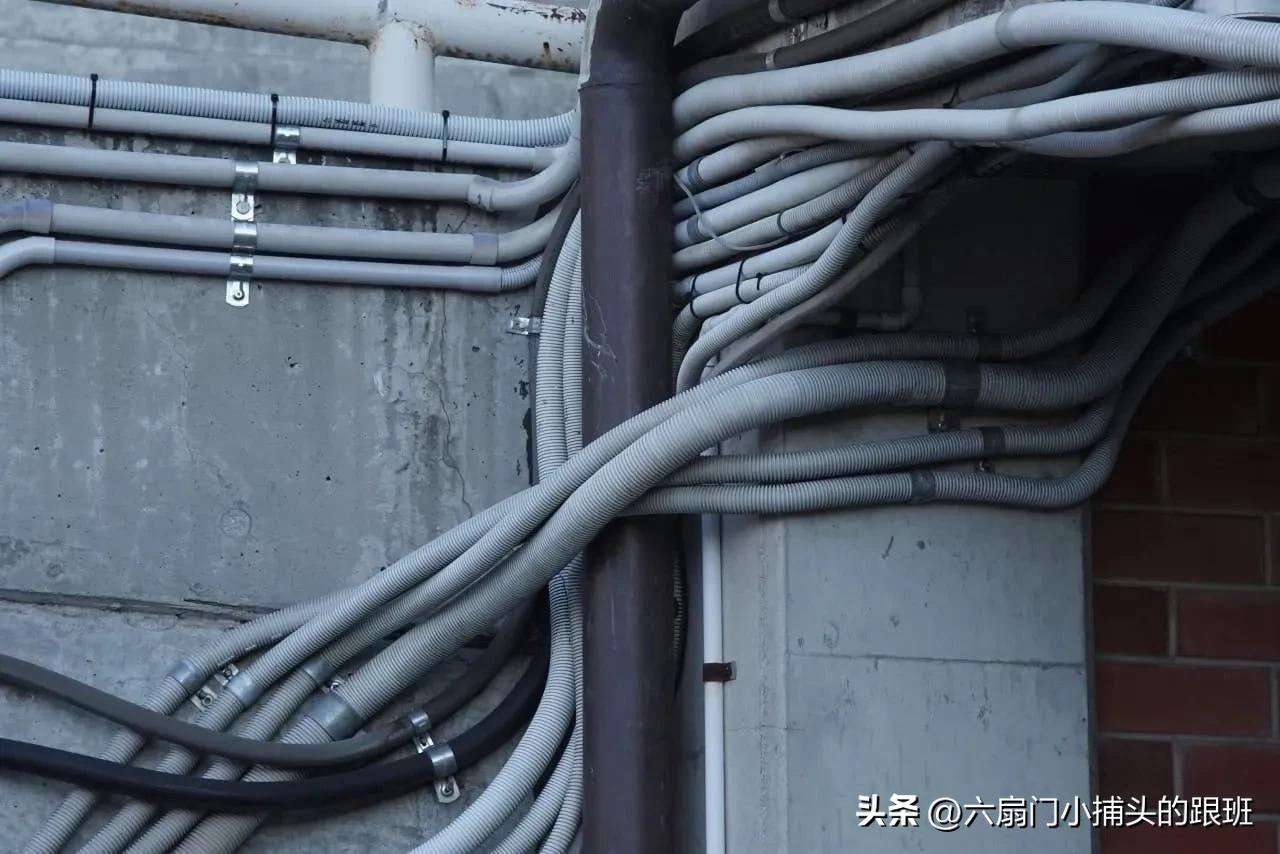 懂懂日记公众号,懂懂日记全集解说