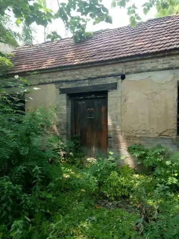 八路军缴获一把武士刀,八路军缴获了鬼子的一把刀