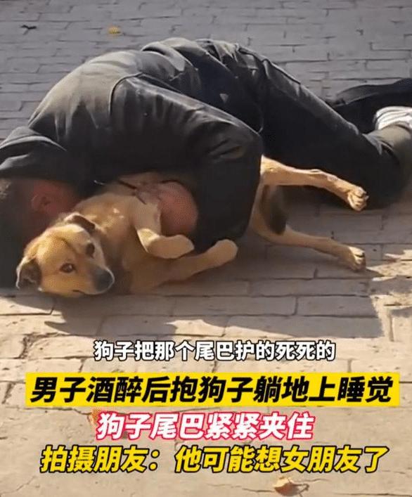 河北邯郸男子喝醉抱狗,河北邯郸男子酒后抱着狗
