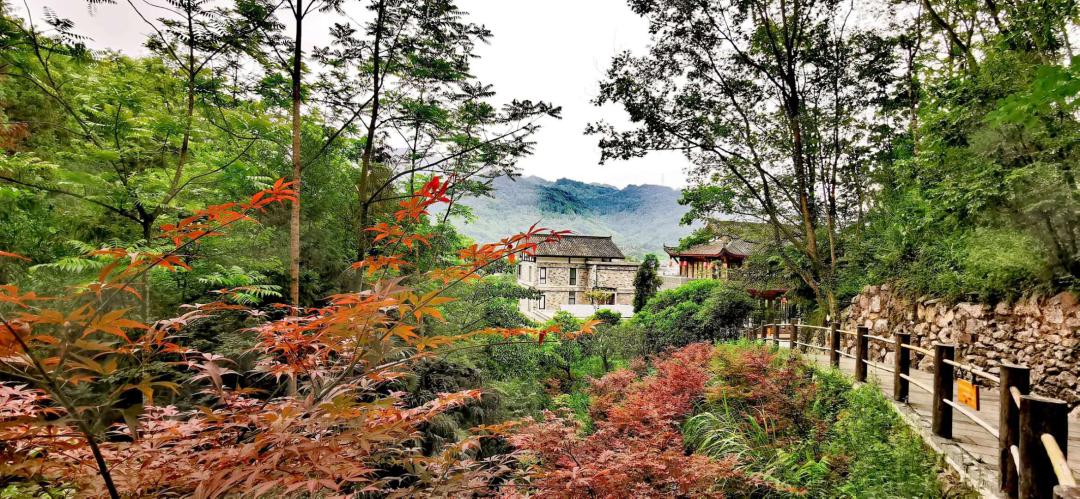 邛崃酒的历史文化,邛崃中国酒源