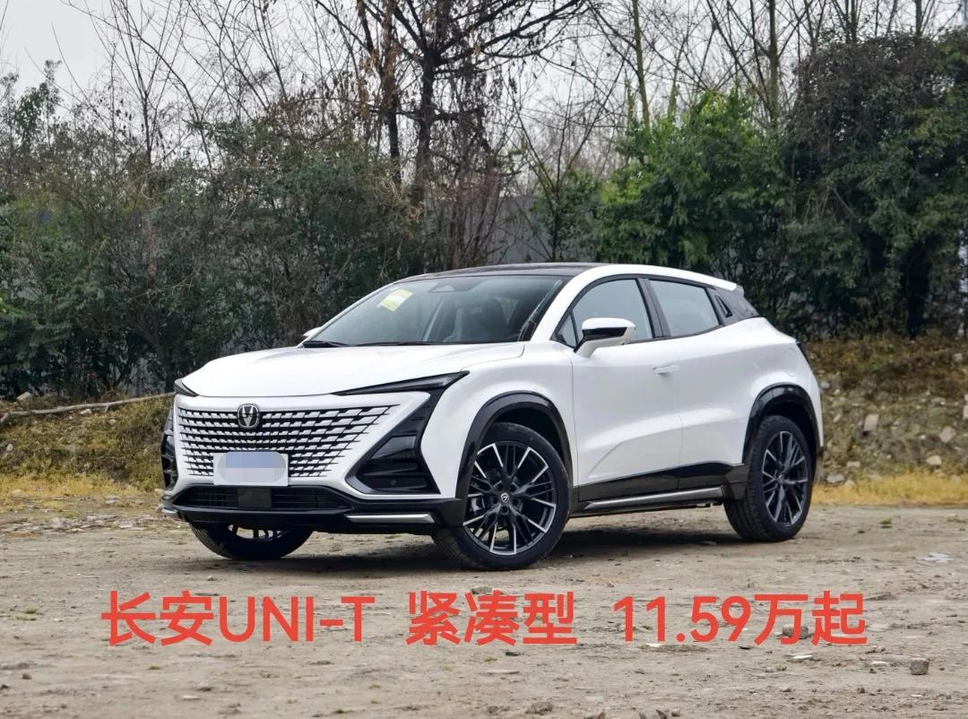 中国长安汽车四大品牌之一,和长安合资的车企