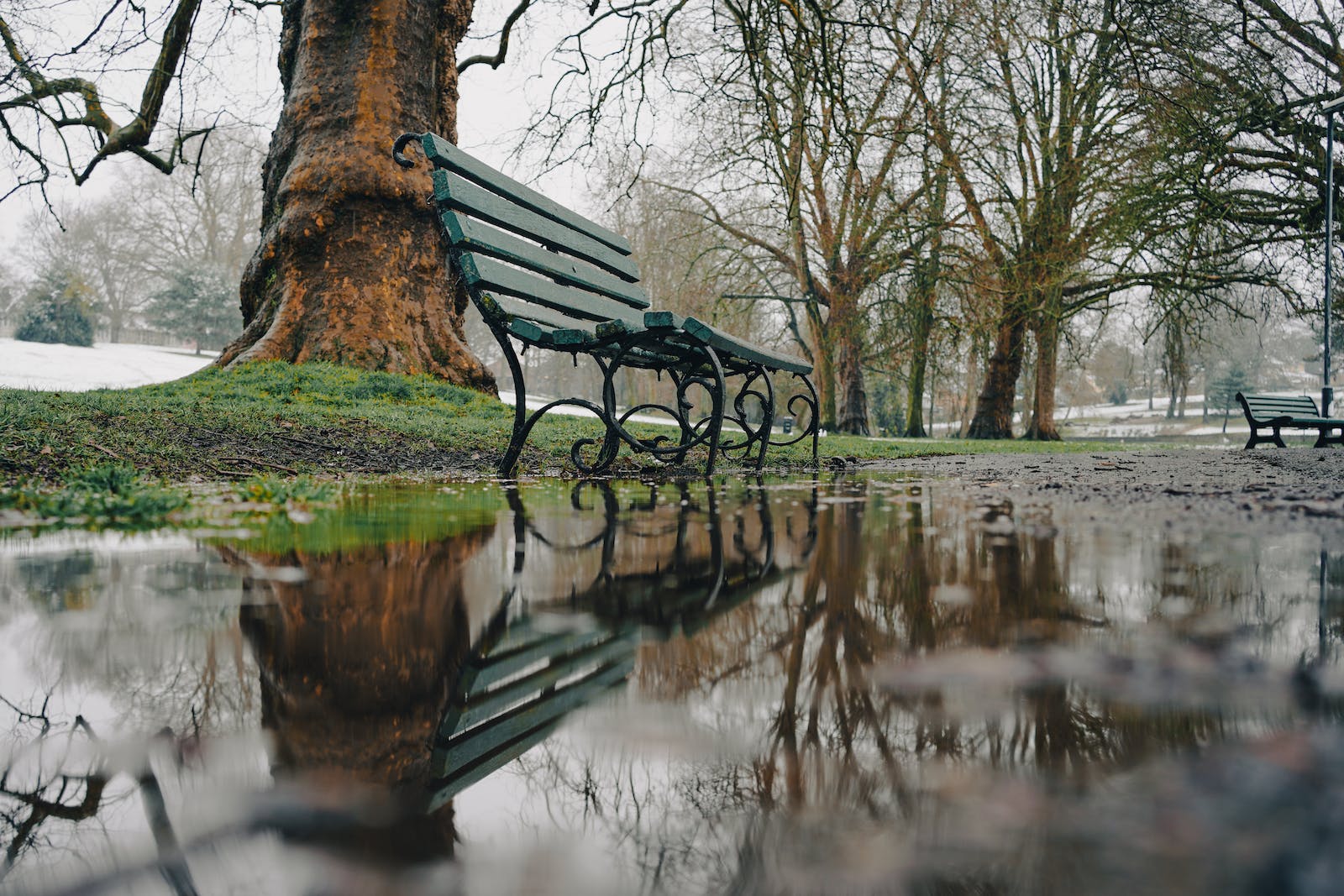 马耳他办理移民需要什么手续,马耳他移民申请批下来能出境吗
