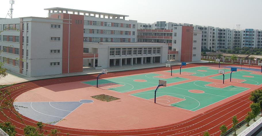 文明之花开满校园广播稿50字,文明之花开满鹏城视频