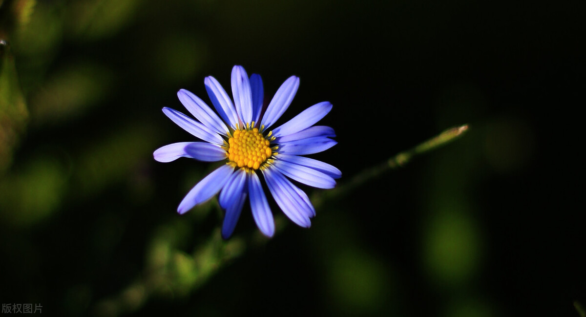 一个人穿鞋子能看出什么,从一个人的鞋子可以看出什么