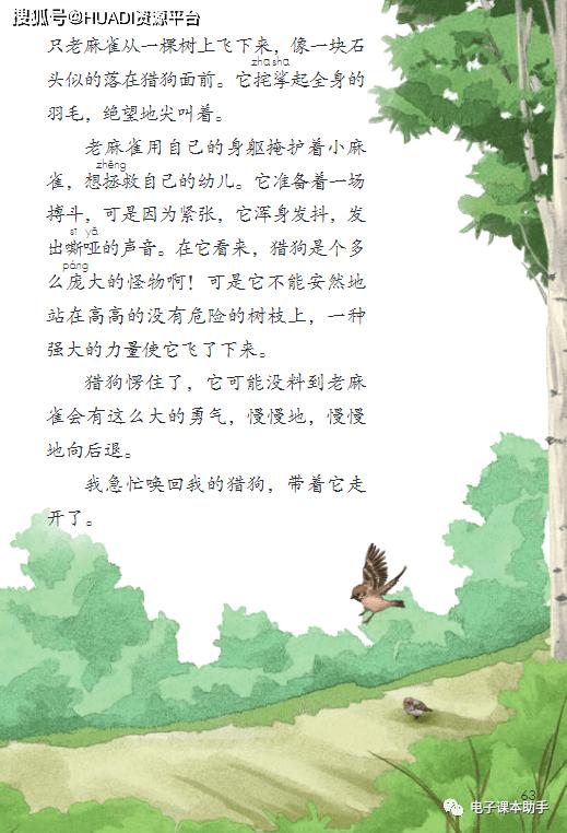 2022四年级下册语文电子版课本,四年级上册语文2021一2022期末卷