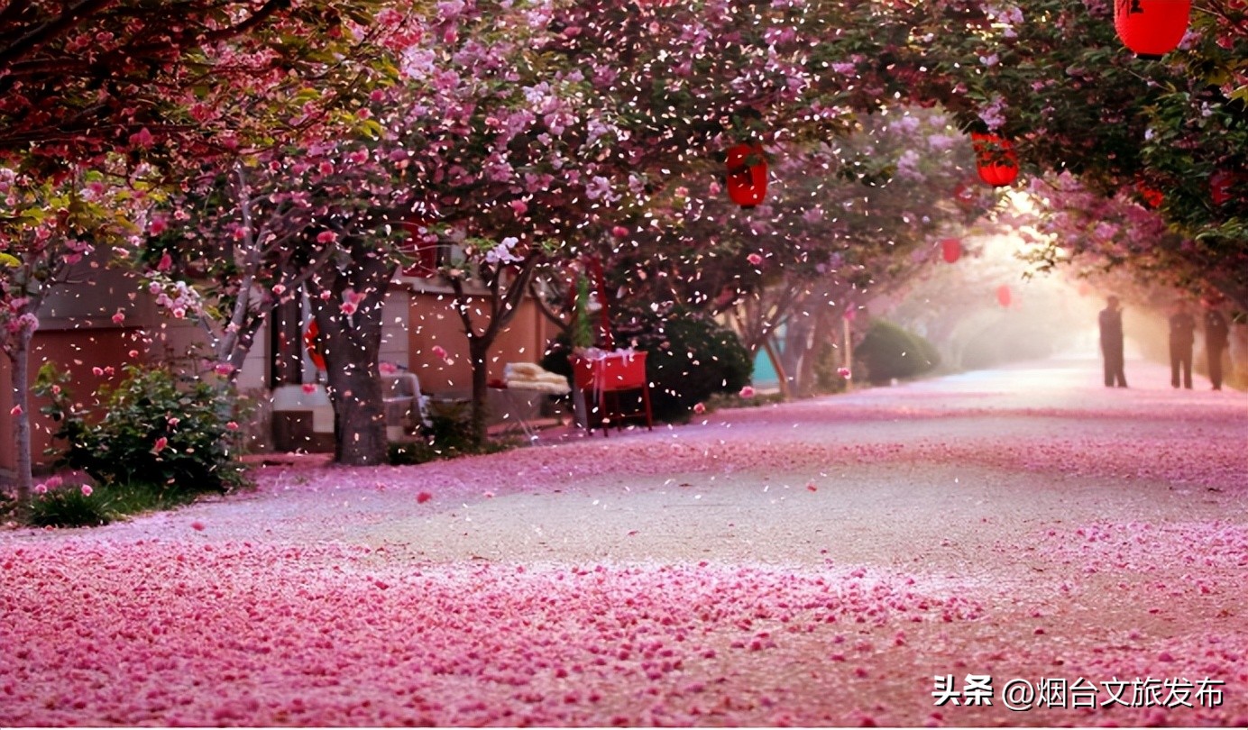 千寻青岛取景地烟台,烟台磁山航拍取景地