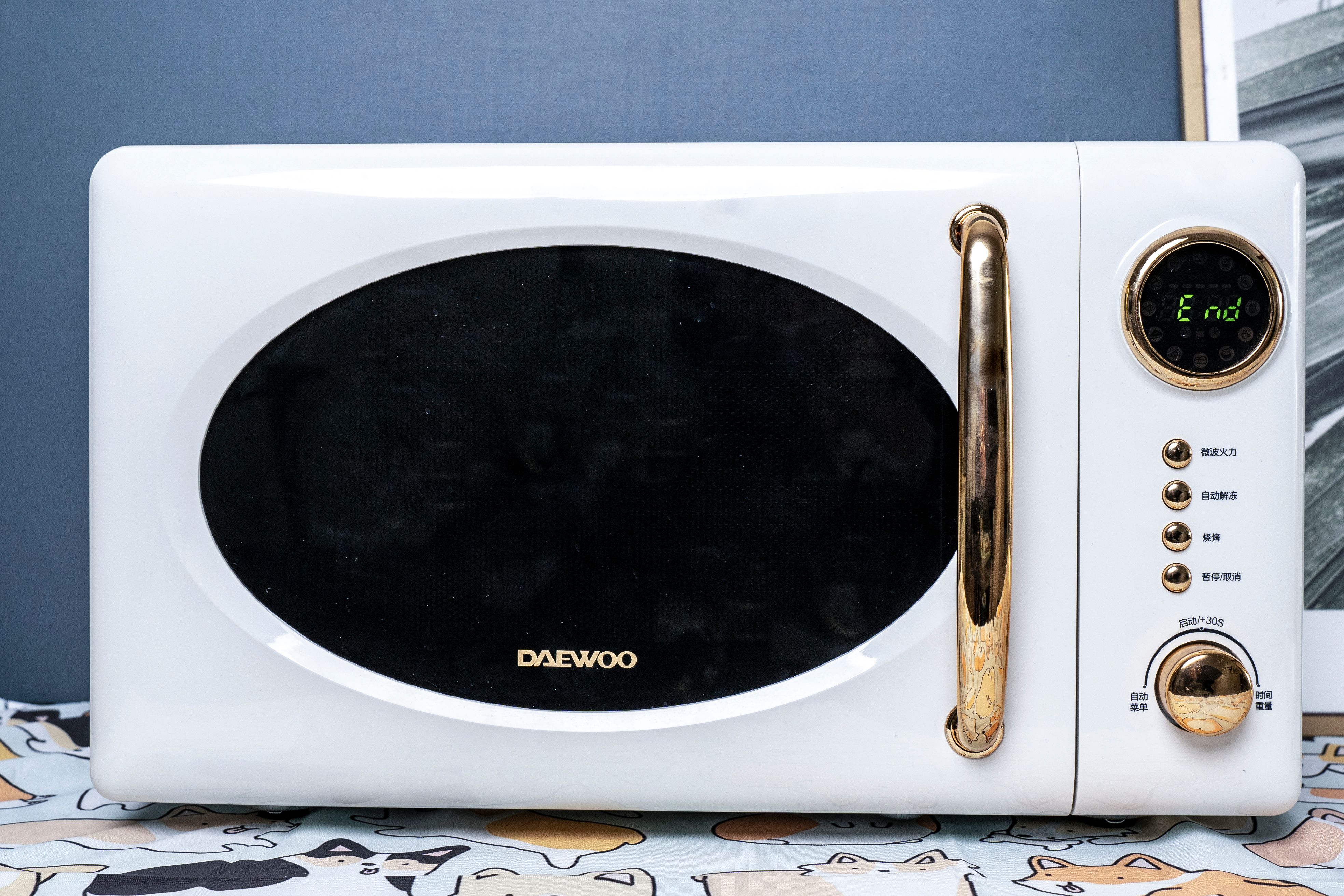 懒人必备微波炉食物,微波炉100种减肥食谱