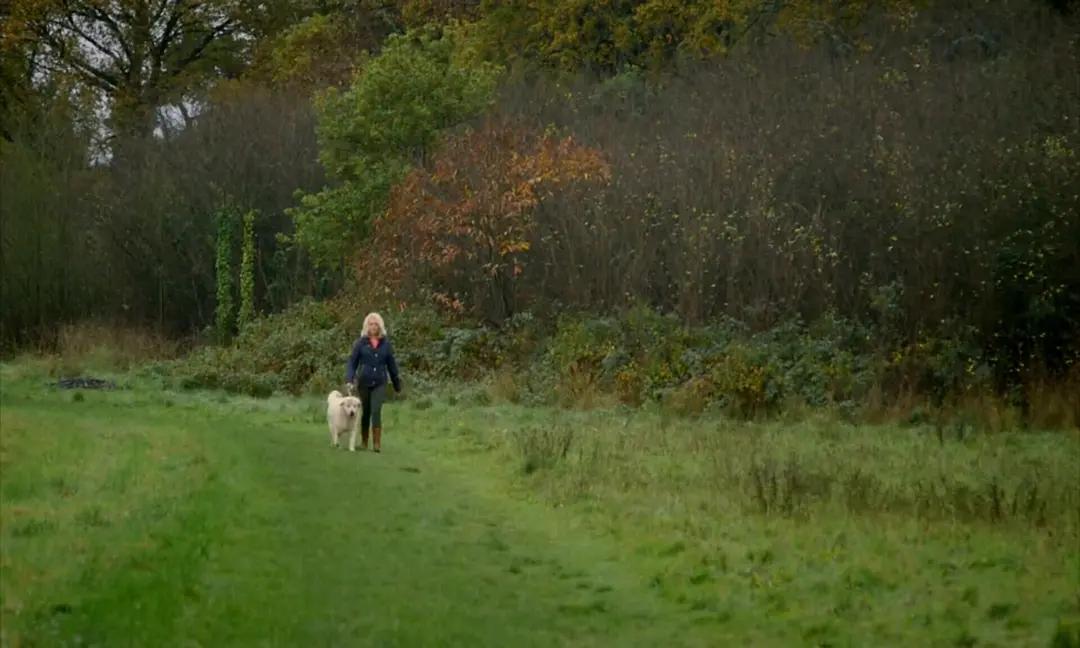 如何面对死亡西蒙的抉择纪录片,西蒙怎么活下来