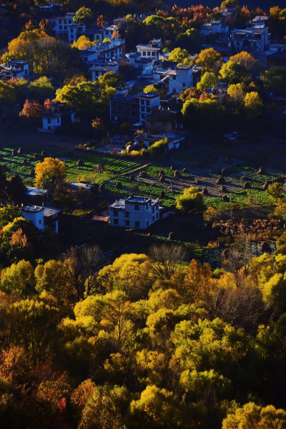 成都去西藏3天往返,成都去西藏不重复路线