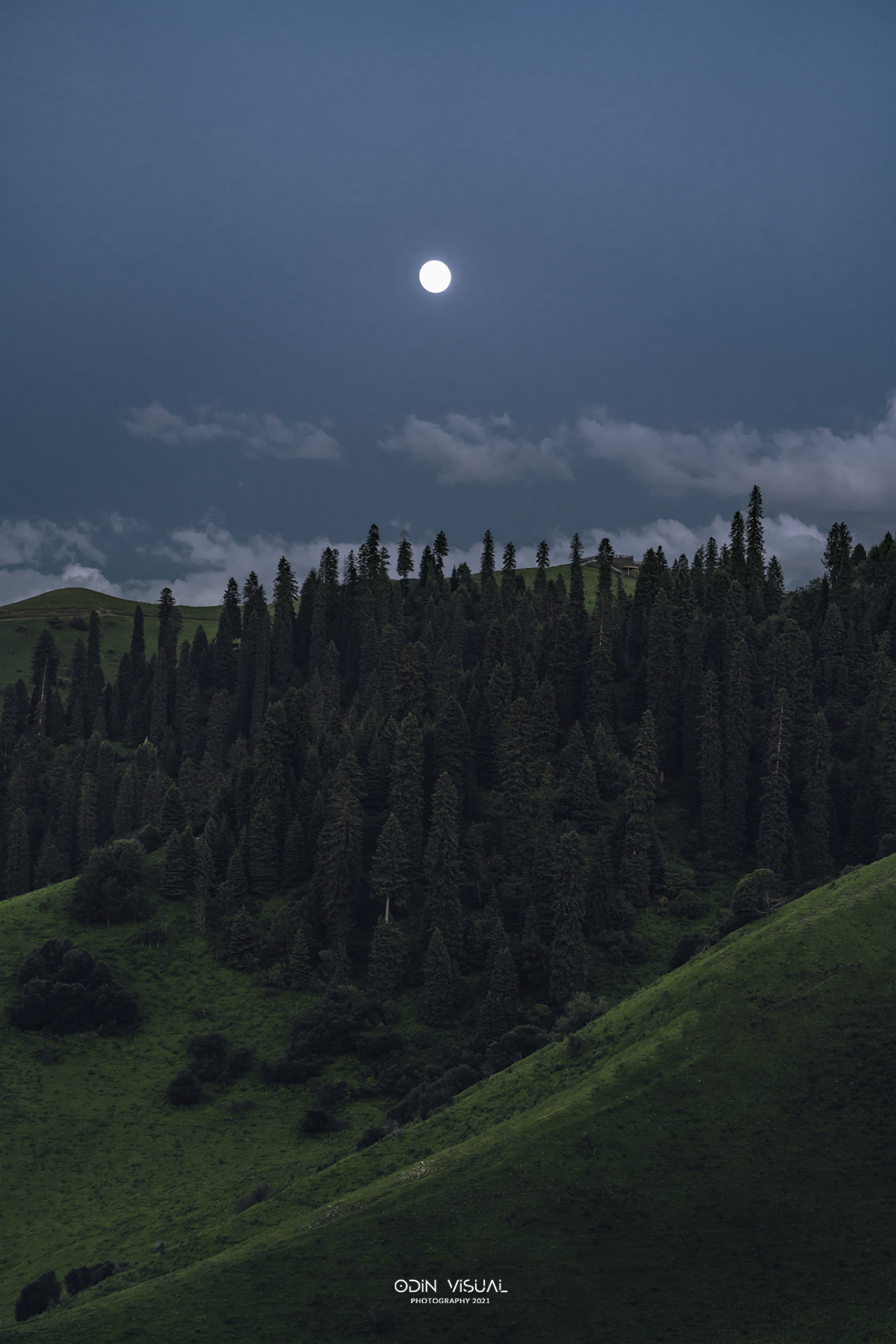 新疆伊犁之美,走了一圈才发现世界万物远不及你