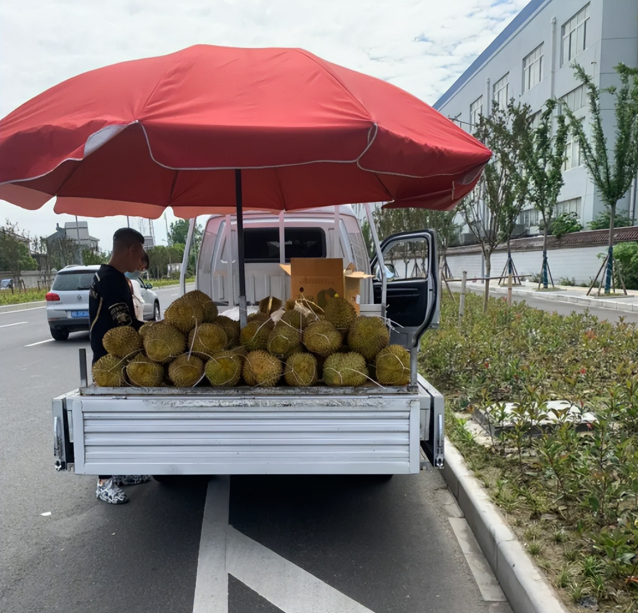 国产榴莲要来了,10元3斤还远吗?泰国:我的高价榴莲卖给谁!