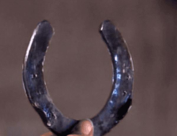 马为什么要钉马蹄铁,给马钉马蹄铁的视频