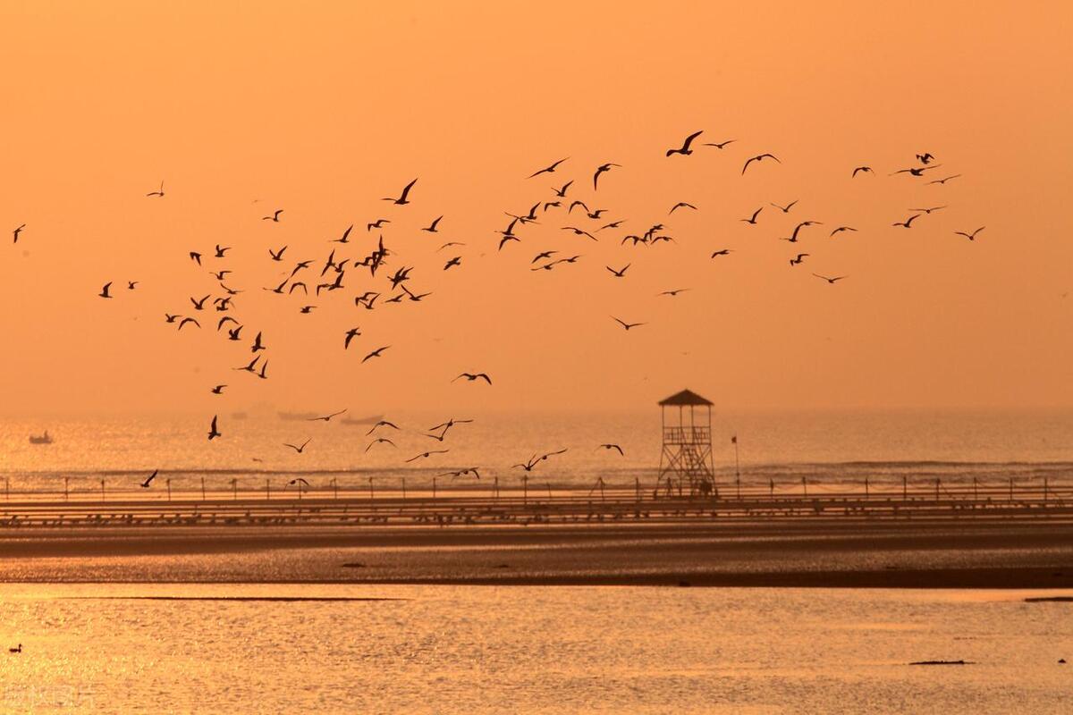 喜欢美景去哪玩,喜欢海边美景释放心情