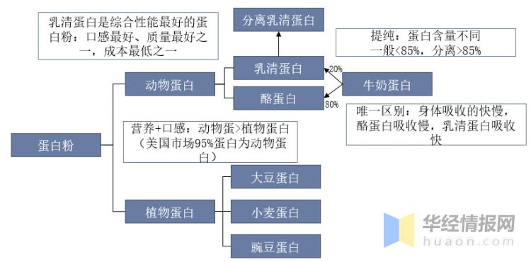 2022年中国蛋*粉白**市场规模、专利数量、进出口及重点企业分析