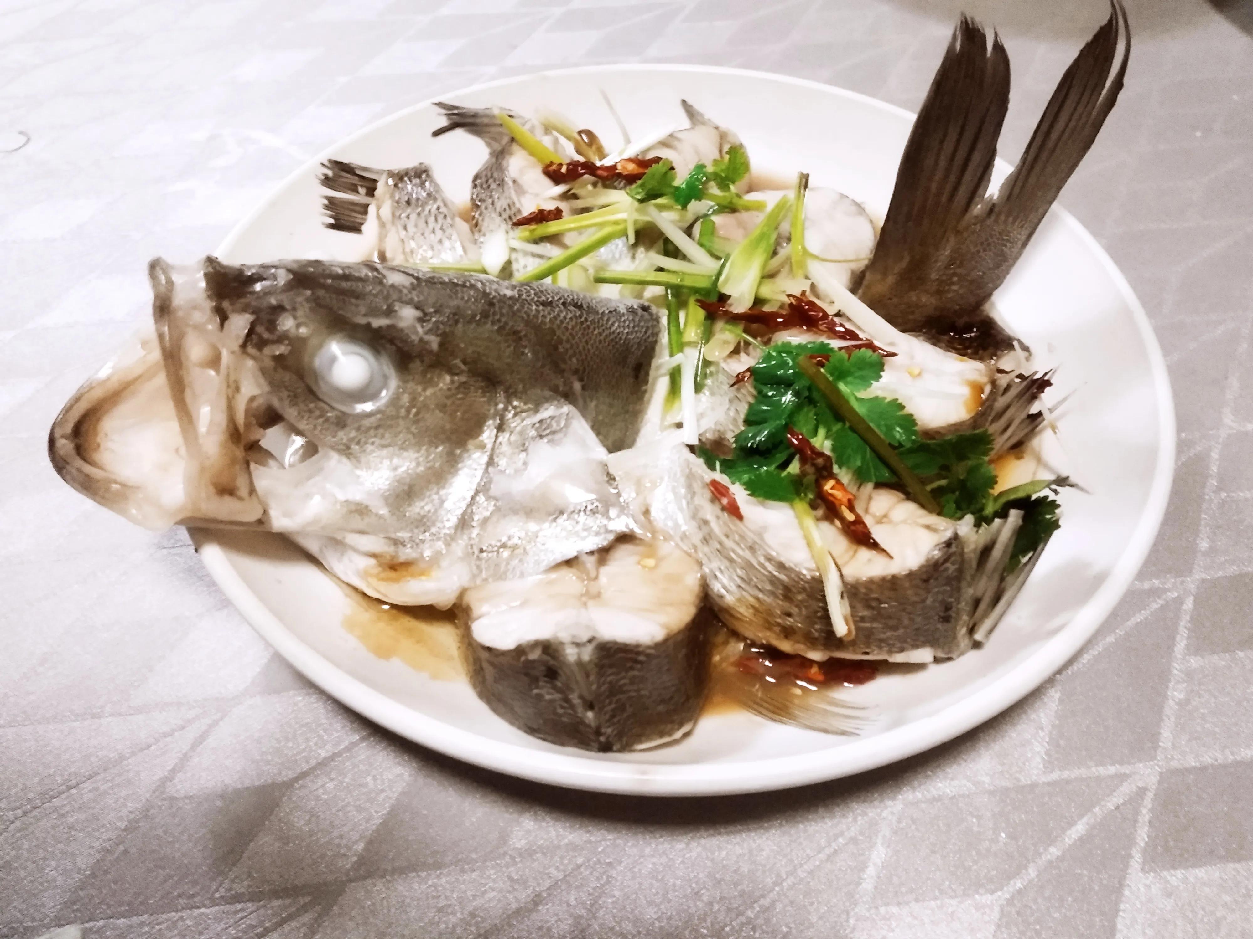15种常见的海鱼,100种常见食用海鱼图谱