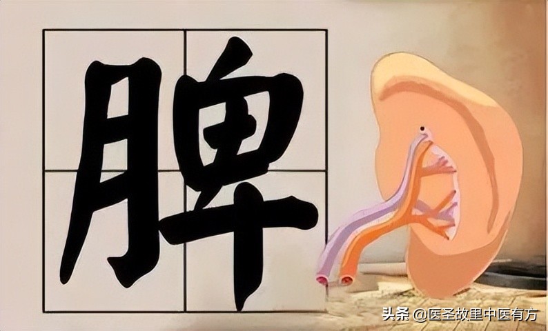 痰湿三味中药克星,治疗痰湿结节包块的一张秘方