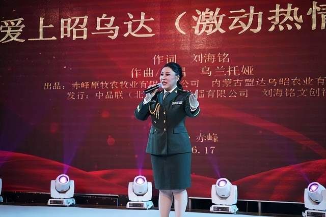 赤峰乡村振兴,赤峰市乡村振兴最新动态