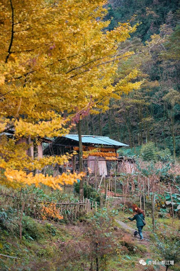 立冬气温仅13℃!快来领取都江堰专属的『入冬四件套』,品围炉暖食、享竹林温泉......成都1.5h直达~