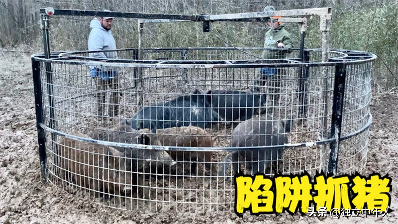 股市谈股论金,股市漫谈