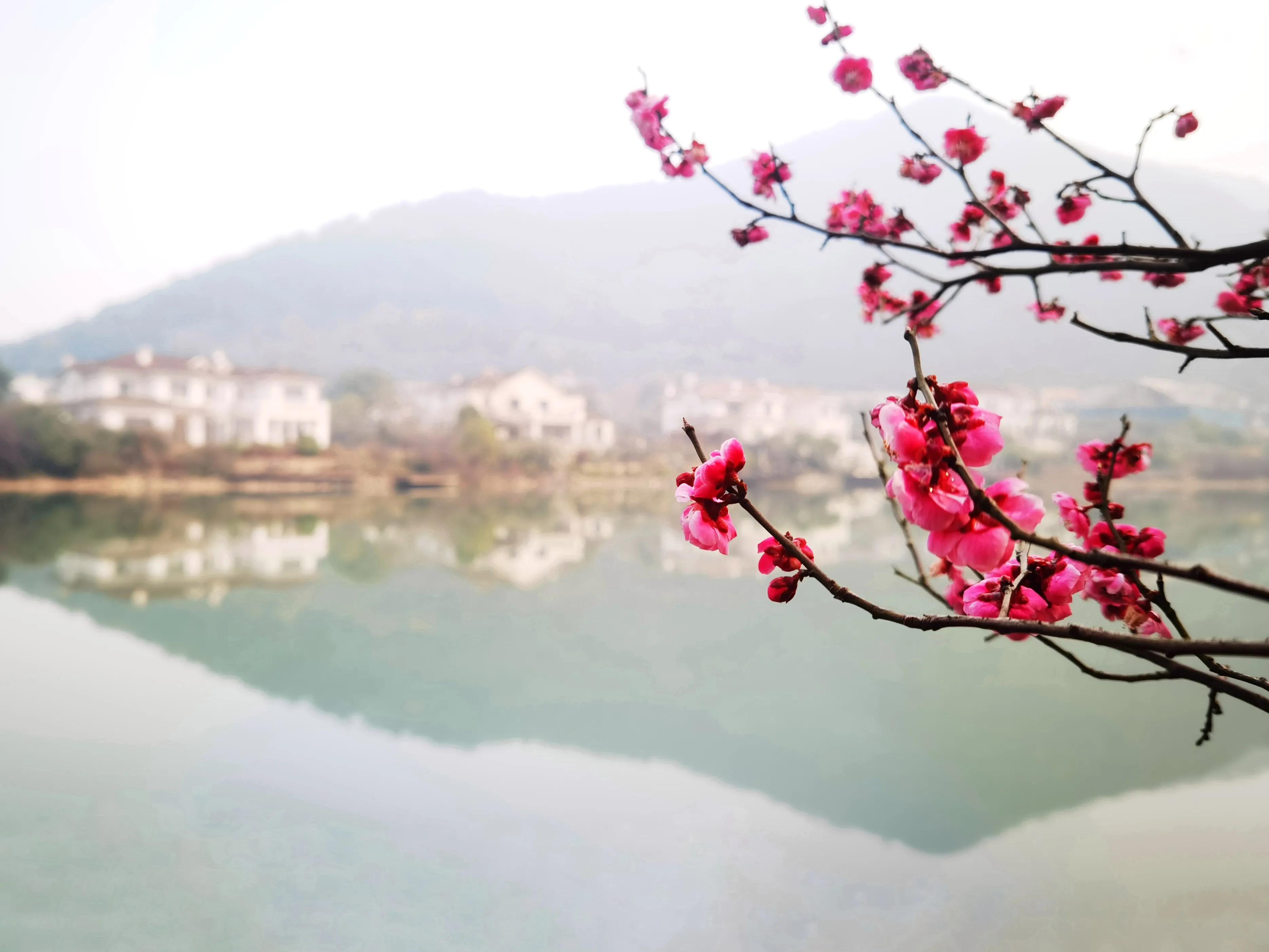 宁波明湖后花园,宁波东钱湖游客