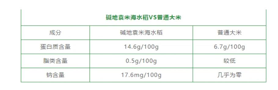 种植海水稻有什么好处,海水稻好吃还是难吃