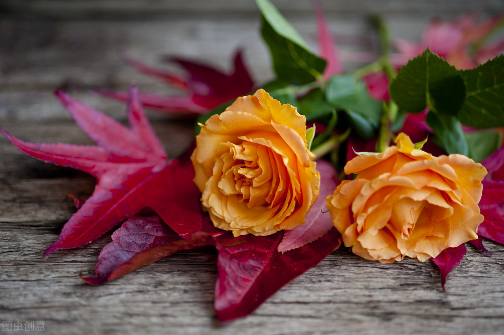 富有哲理的个性签名简短,蕴含人生哲理的个性签名