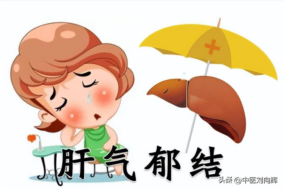 白芍补肝的食疗药膳,白芍养肝配方