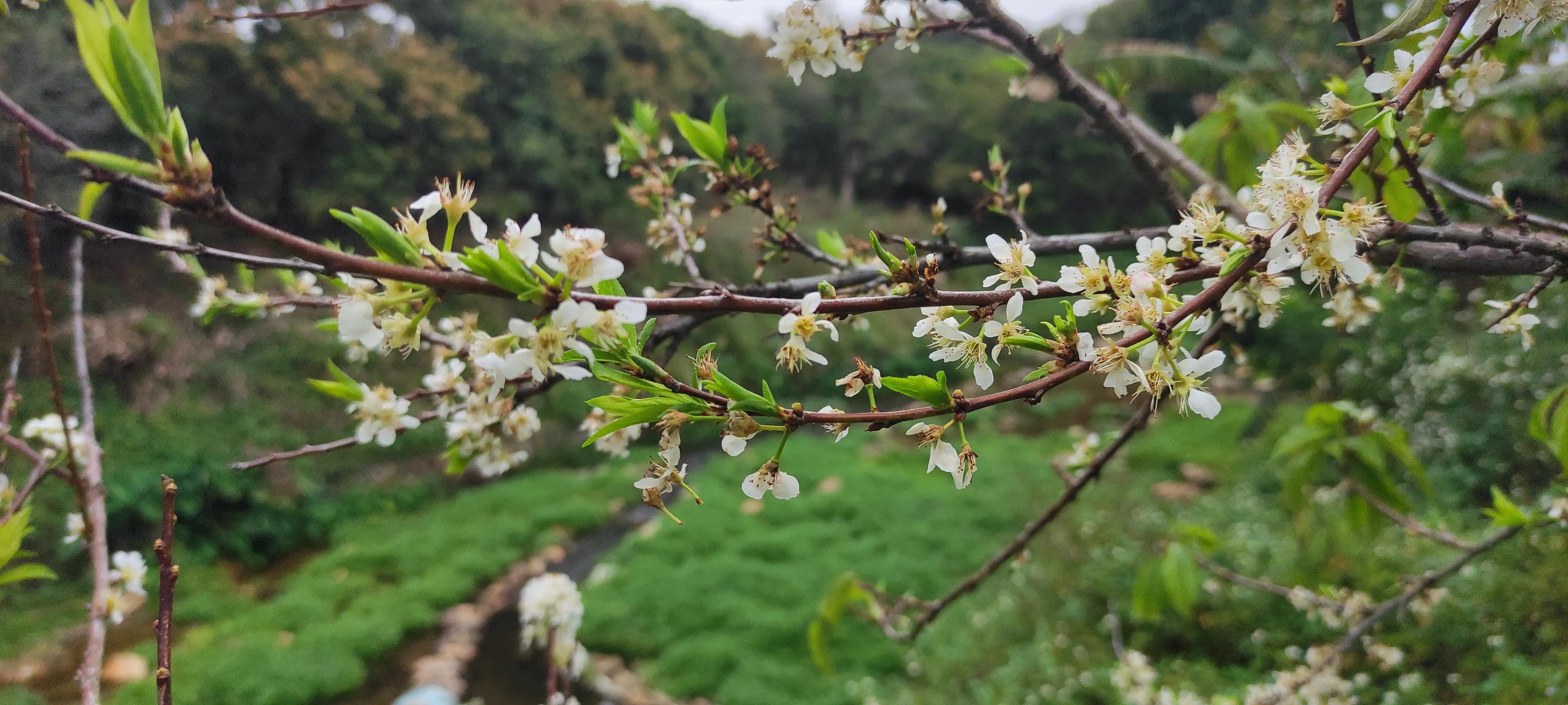 广州从化后花园,从化是广州的后花园吗