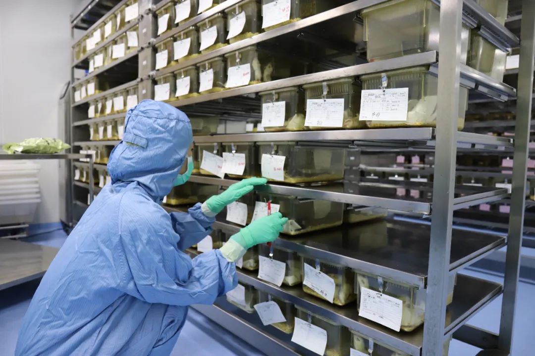 三周年！“试验田”变身“创新田”