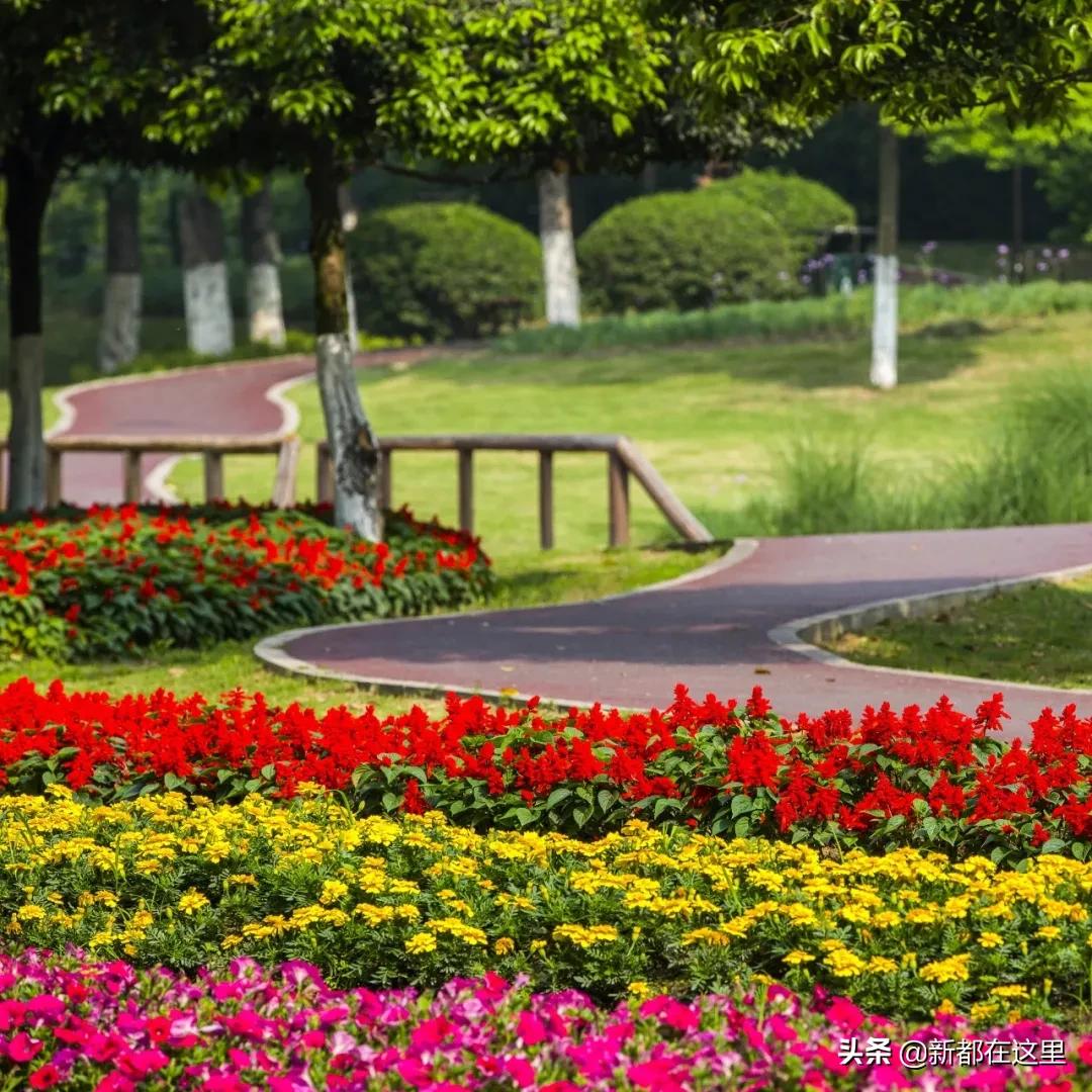 邂逅香城，在新都必做的50件小事~