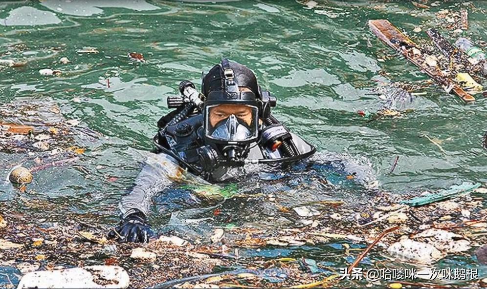 花季少女惨遭分尸案,16岁少女杀人分尸案