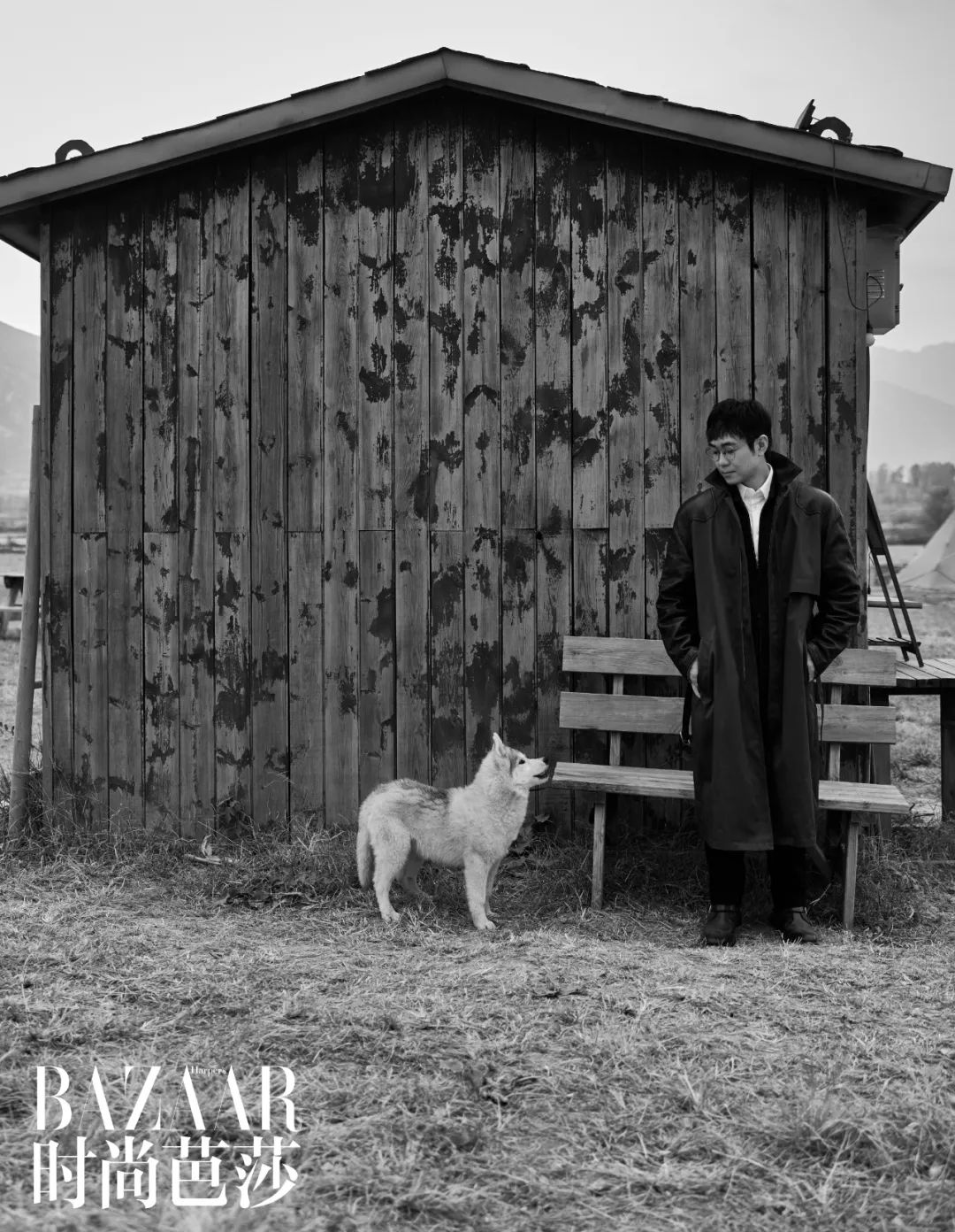 大鹏的电影剧情,大鹏的最新电影主要讲的什么故事