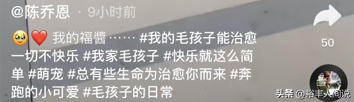 陈乔恩携老公回北京遭狠批!时隔两年见爱犬好激动,全程没有牵绳