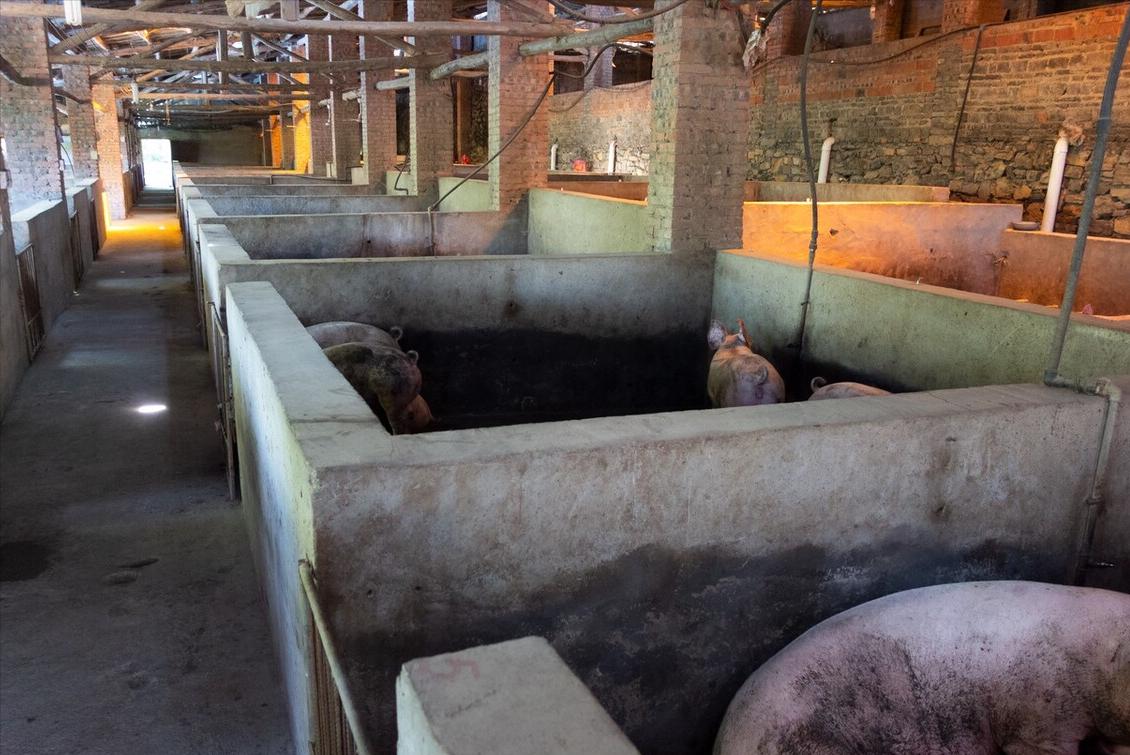 十几年的养殖场现在被认定违建,养殖场违建最新政策