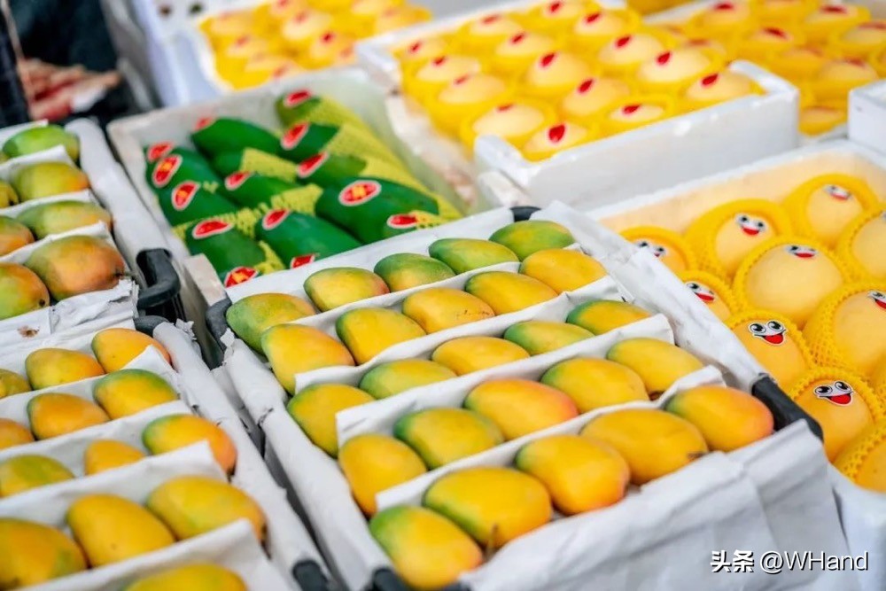 武汉的各类批发市场在哪里,武汉囤货一般买什么