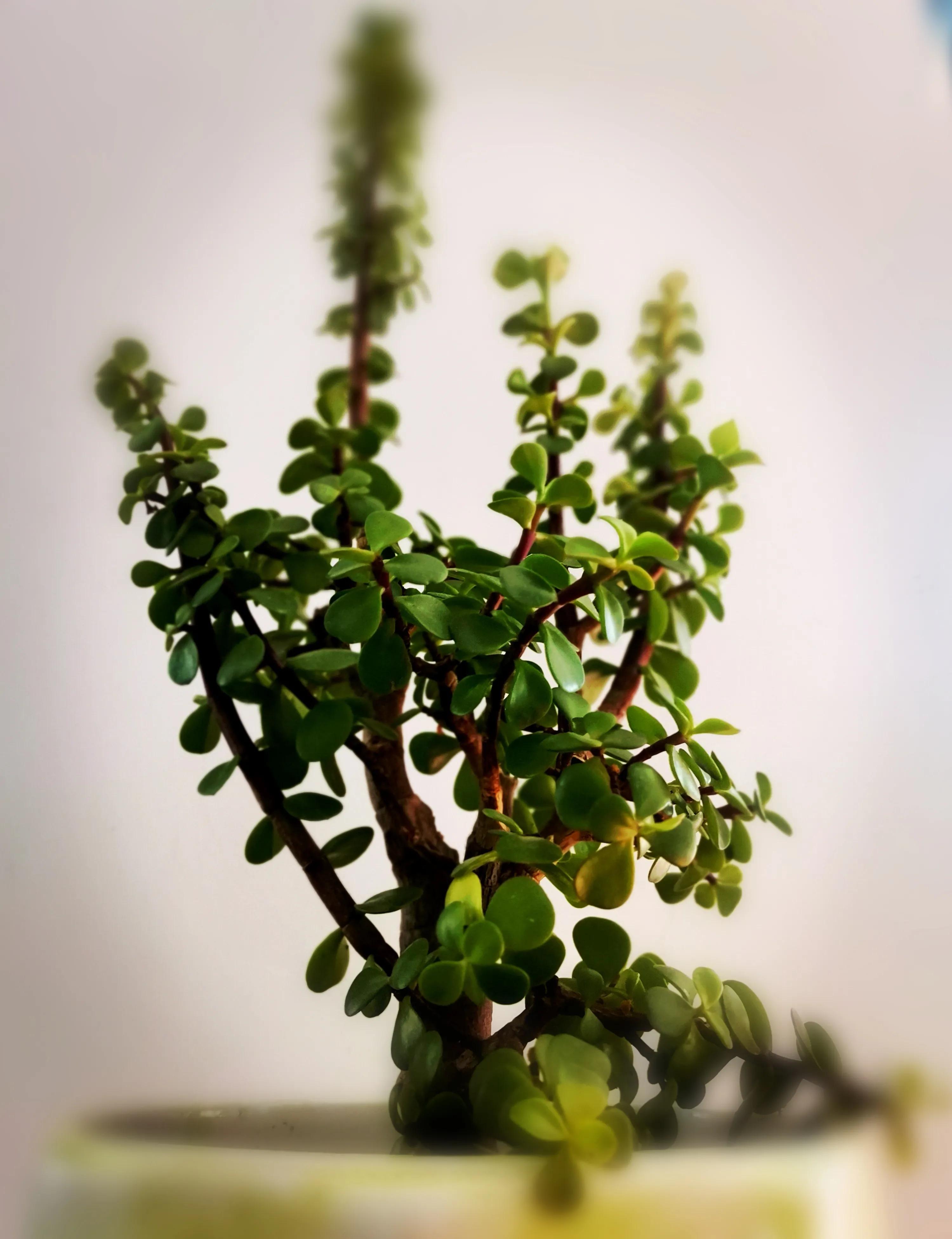 受伤的疤痕一定会成为坚强的盔甲,你的伤疤会成为坚韧的盔甲