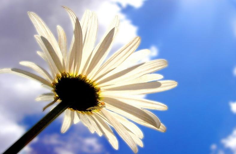 运气不好的人有哪些习惯,运气很差的人特征