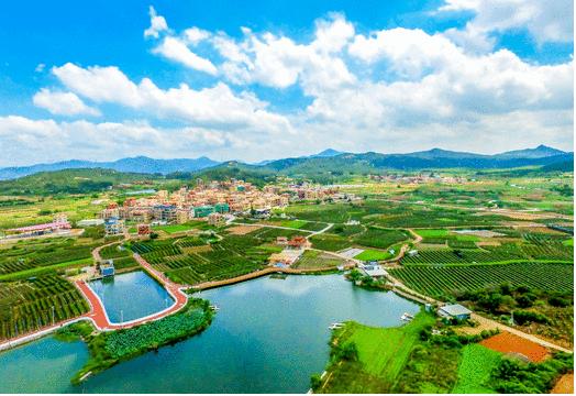 鼓浪屿可以当天预订船票攻略 (鼓浪屿还有免费的船票吗)