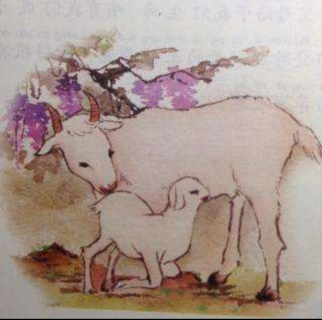 丢失牙齿,丢失的牙