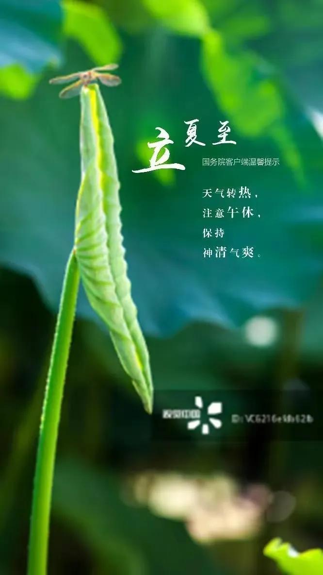 经典立夏祝福图片,立夏快乐图片祝福语