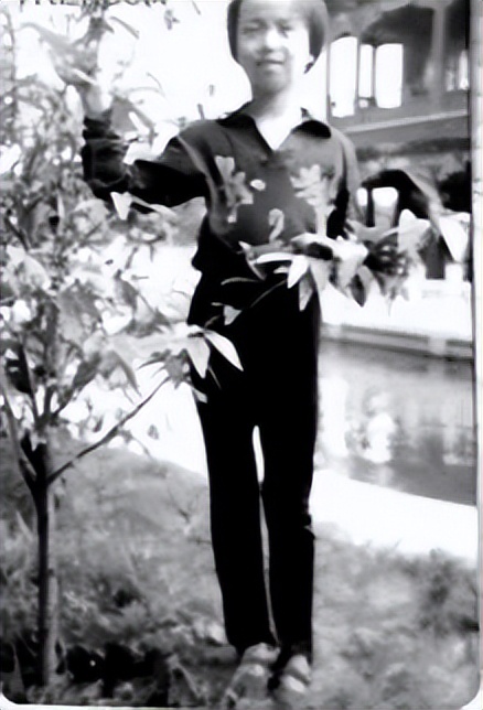 她是世界女乒第一人,大20岁老公与袁立同居12年,转身把她宠上天