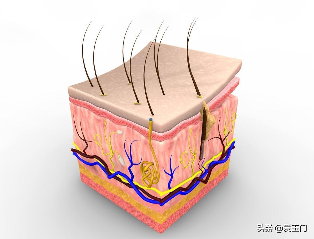 长时间化妆和长期素颜的女人,长期化妆和长期素颜哪个对皮肤好