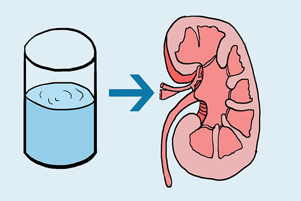 喝干柠檬水有什么好处可以减肥吗,怎么泡柠檬水才正确还减肥