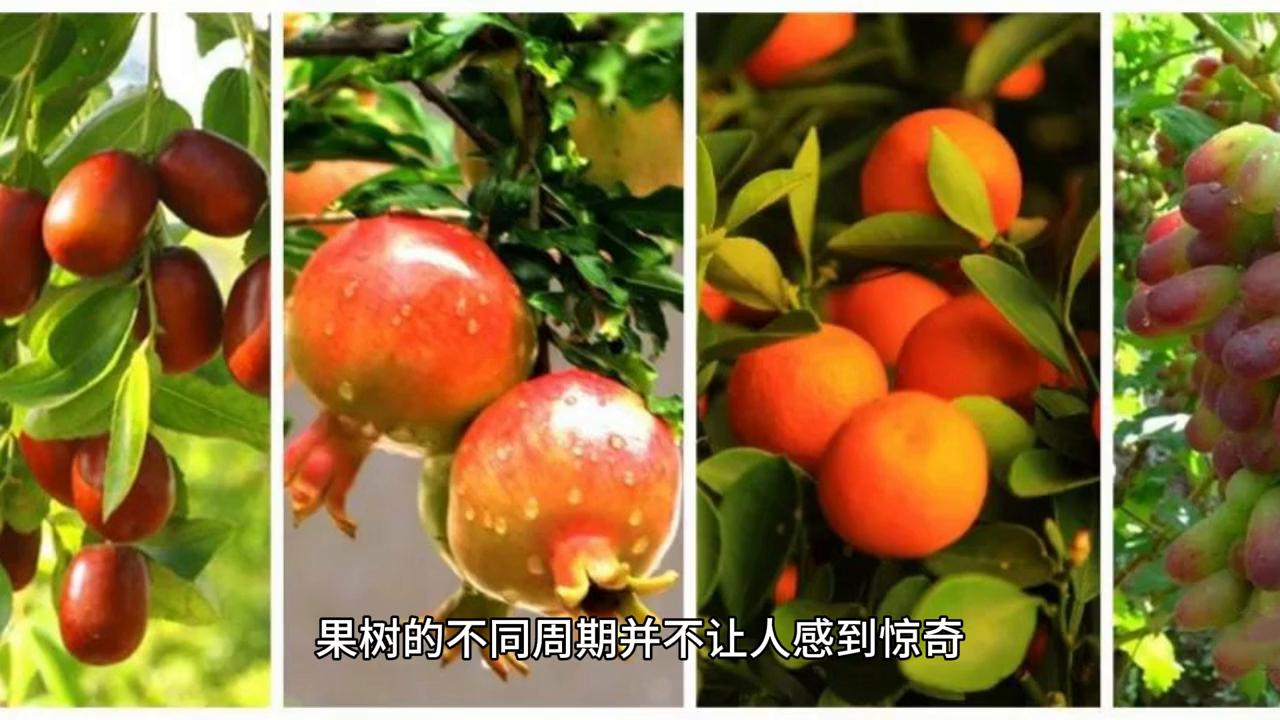 不要因为别人乱了自己的节奏,自己的节奏不要被别人打乱