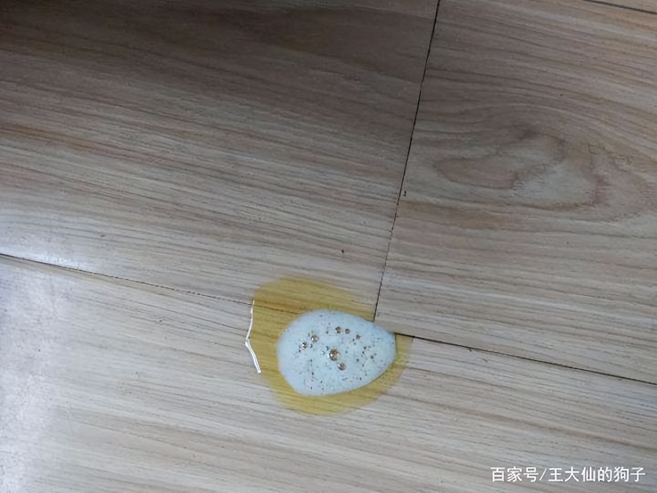 狗狗吐黄水拉肚子,狗狗拉肚子吐黄水怎么办