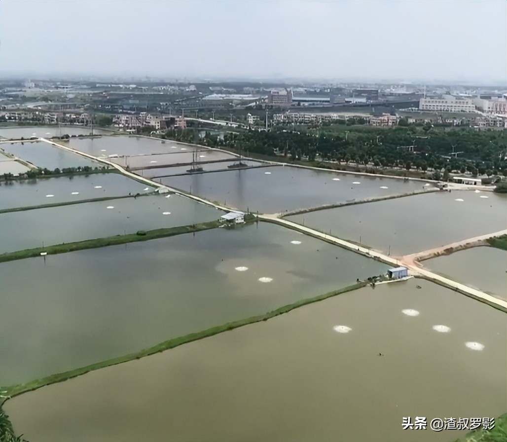 银行副行长辞职赚钱,中国银行副行长辞职