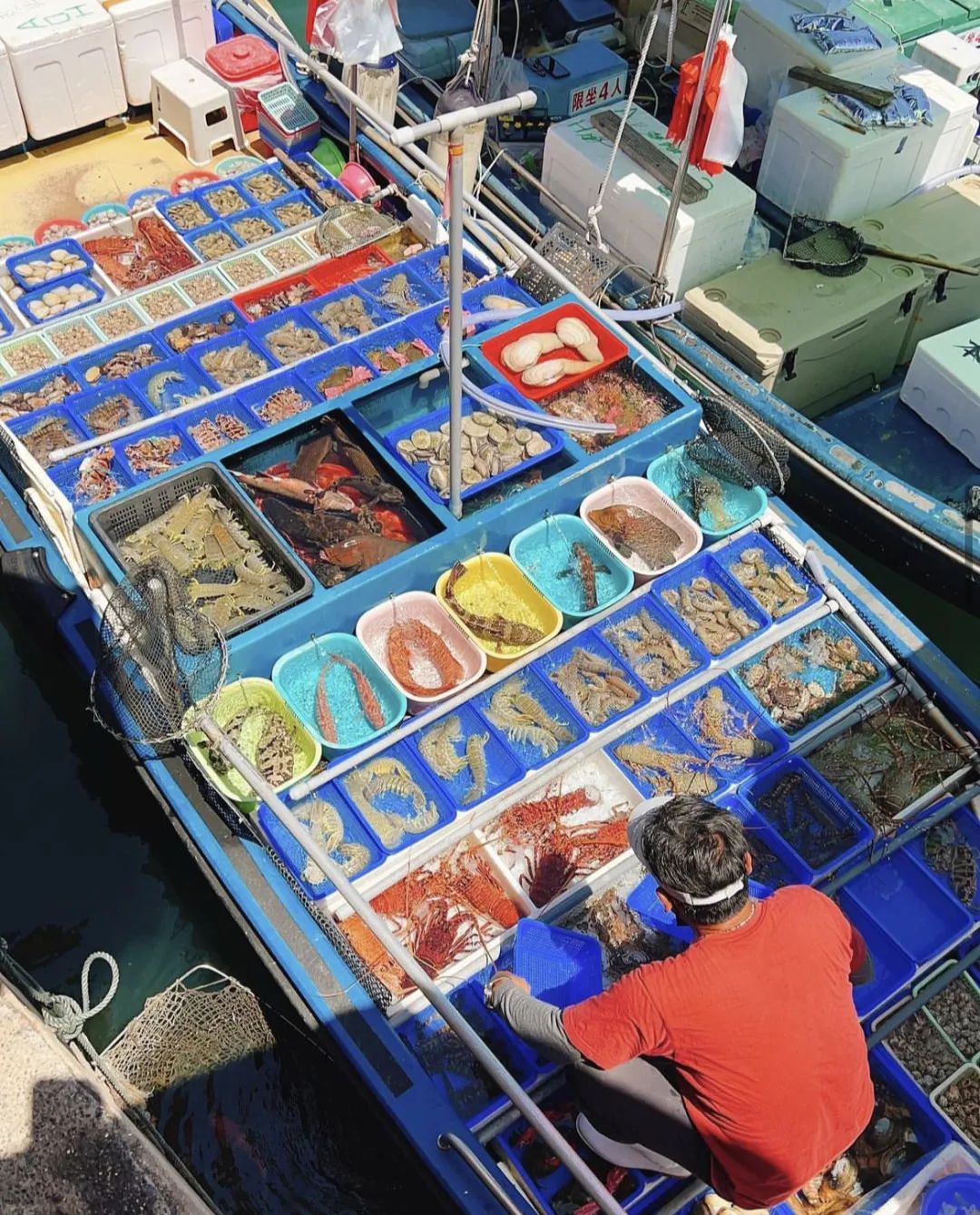 香港打卡香港之王,香港打卡点图片